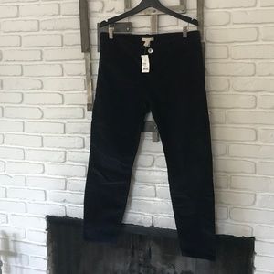Banana republic blue velvet cord pants